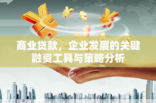 洮南商业贷款，企业发展的关键融资工具与策略分析