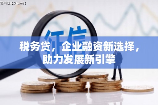 洮南税务贷，企业融资新选择，助力发展新引擎