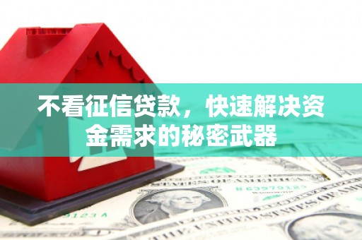 洮南不看征信贷款，快速解决资金需求的秘密武器