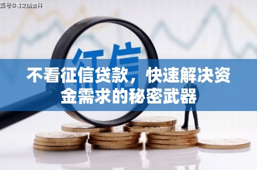洮南不看征信贷款，快速解决资金需求的秘密武器