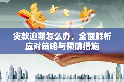 洮南贷款逾期怎么办，全面解析应对策略与预防措施