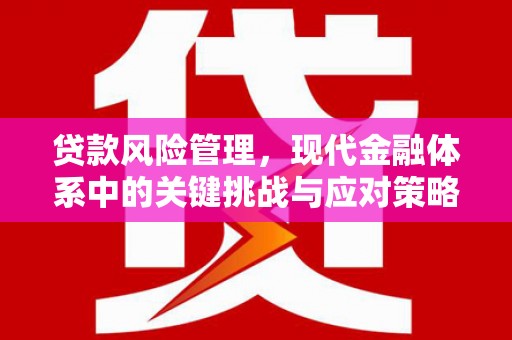 洮南贷款风险管理，现代金融体系中的关键挑战与应对策略