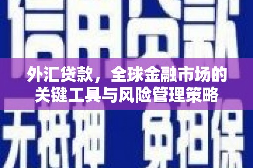 洮南外汇贷款，全球金融市场的关键工具与风险管理策略