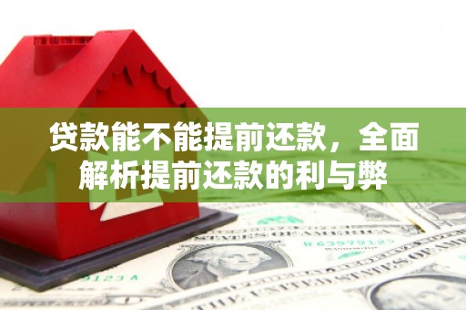 洮南贷款能不能提前还款，全面解析提前还款的利与弊