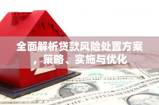 洮南全面解析贷款风险处置方案，策略、实施与优化