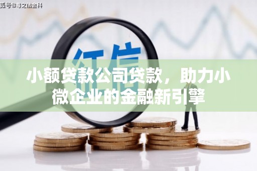 洮南小额贷款公司贷款，助力小微企业的金融新引擎
