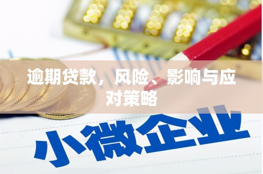 洮南逾期贷款，风险、影响与应对策略