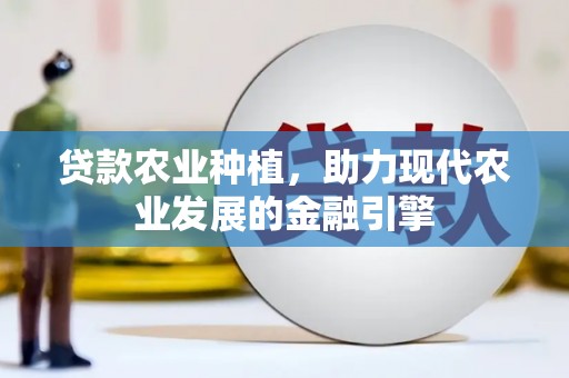洮南贷款农业种植，助力现代农业发展的金融引擎