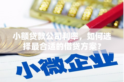 洮南小额贷款公司利率，如何选择最合适的借贷方案？