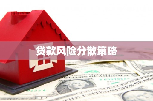 洮南贷款风险分散策略