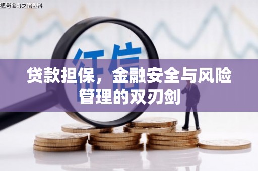 洮南贷款担保，金融安全与风险管理的双刃剑