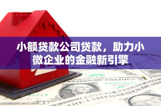 洮南小额贷款公司贷款，助力小微企业的金融新引擎