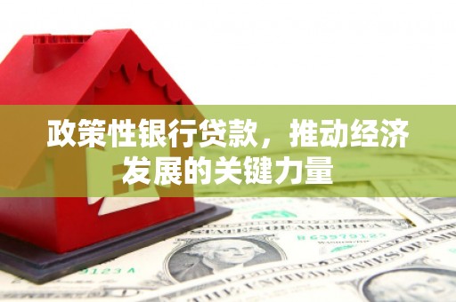 洮南政策性银行贷款，推动经济发展的关键力量