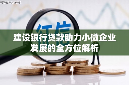 洮南建设银行贷款助力小微企业发展的全方位解析