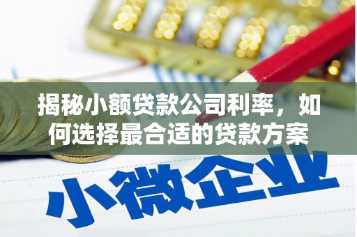 洮南揭秘小额贷款公司利率，如何选择最合适的贷款方案