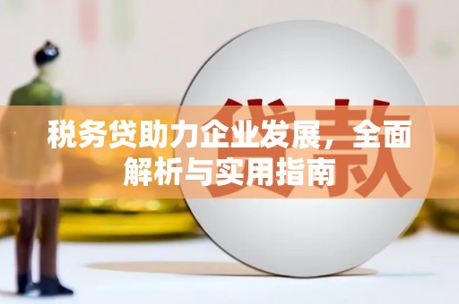 洮南税务贷助力企业发展，全面解析与实用指南