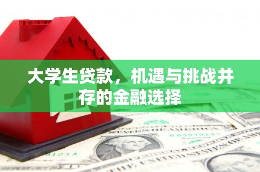 洮南大学生贷款，机遇与挑战并存的金融选择