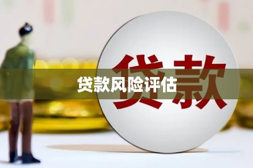 洮南贷款风险评估
