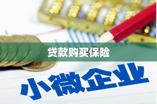 洮南贷款购买保险