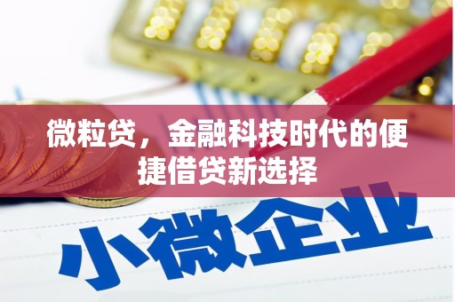 洮南微粒贷，金融科技时代的便捷借贷新选择