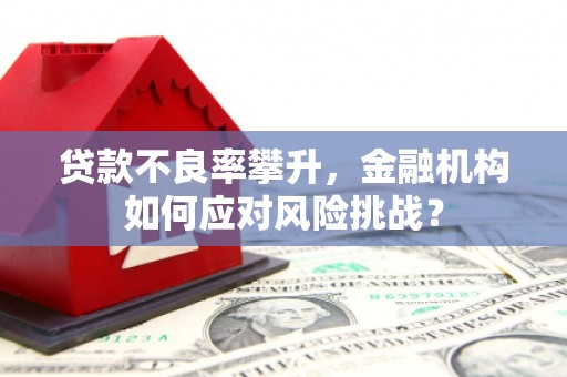 洮南贷款不良率攀升，金融机构如何应对风险挑战？
