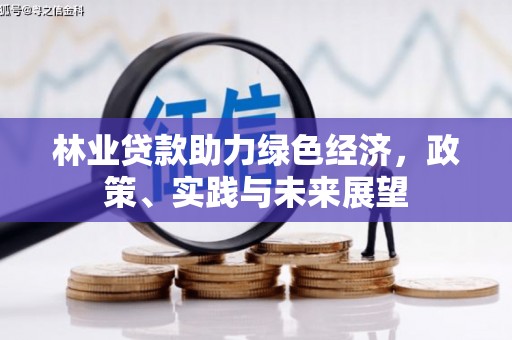 洮南林业贷款助力绿色经济，政策、实践与未来展望