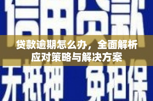 洮南贷款逾期怎么办，全面解析应对策略与解决方案