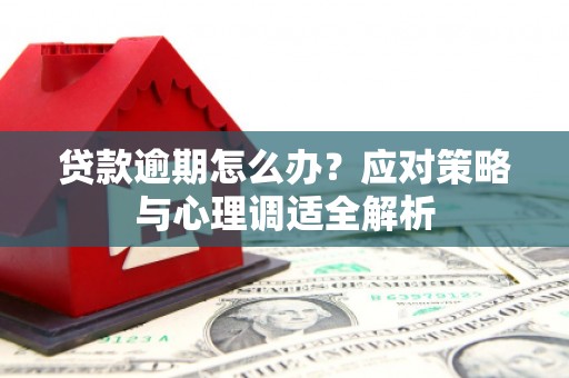 洮南贷款逾期怎么办？应对策略与心理调适全解析