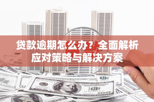 洮南贷款逾期怎么办？全面解析应对策略与解决方案