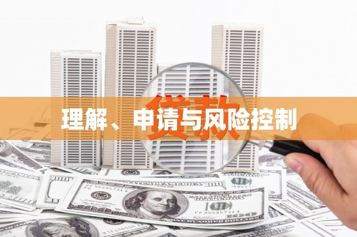 洮南理解、申请与风险控制