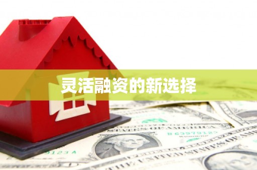 洮南灵活融资的新选择