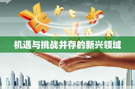 洮南机遇与挑战并存的新兴领域