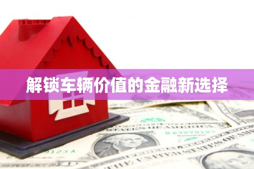 洮南解锁车辆价值的金融新选择