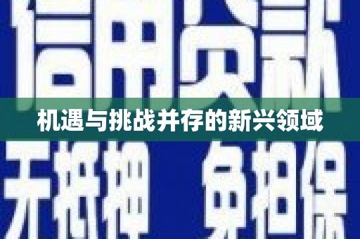 洮南机遇与挑战并存的新兴领域