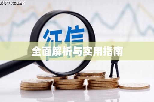 洮南全面解析与实用指南