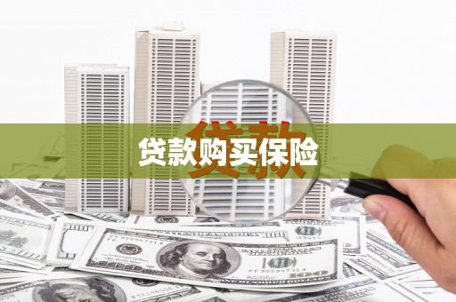 洮南贷款购买保险