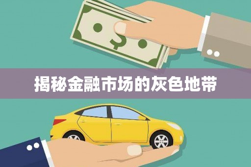 洮南揭秘金融市场的灰色地带