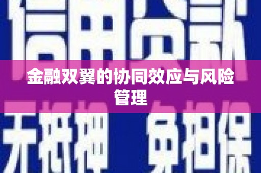 洮南金融双翼的协同效应与风险管理