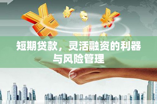 洮南短期贷款，灵活融资的利器与风险管理