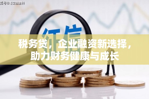 洮南税务贷，企业融资新选择，助力财务健康与成长