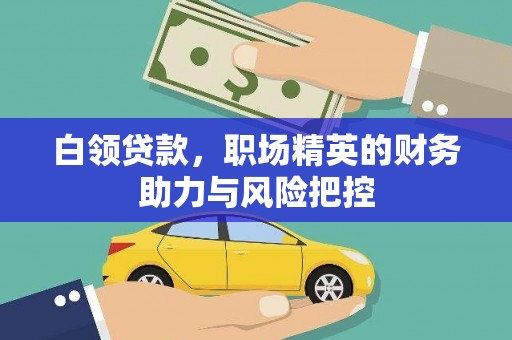 洮南白领贷款，职场精英的财务助力与风险把控