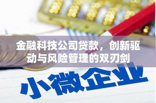 洮南金融科技公司贷款，创新驱动与风险管理的双刃剑